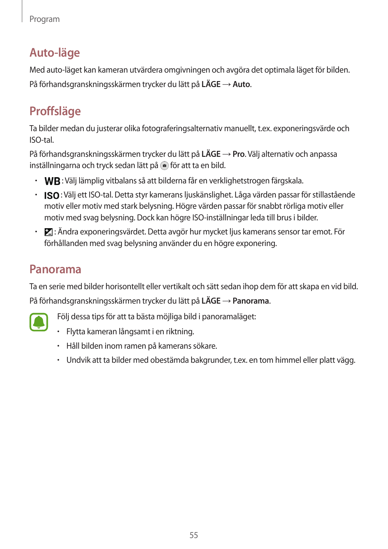 ProgramAuto-lägeMed auto-läget kan kameran utvärdera omgivningen och avgöra det optimala läget för bilden.På förhandsgransknings