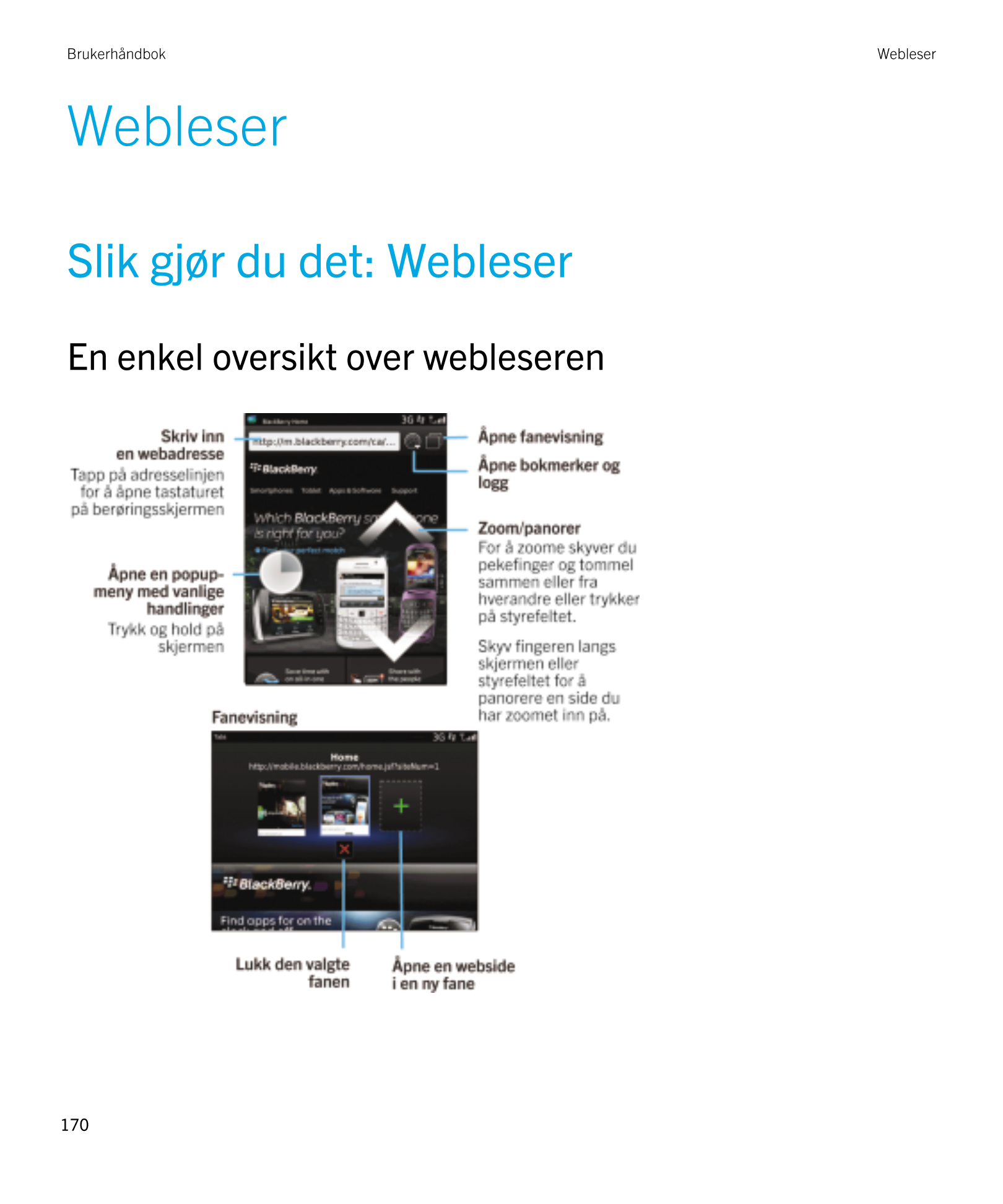 Brukerhåndbok Webleser
Webleser
Slik gjør du det: Webleser
  En enkel oversikt over webleseren
170 
