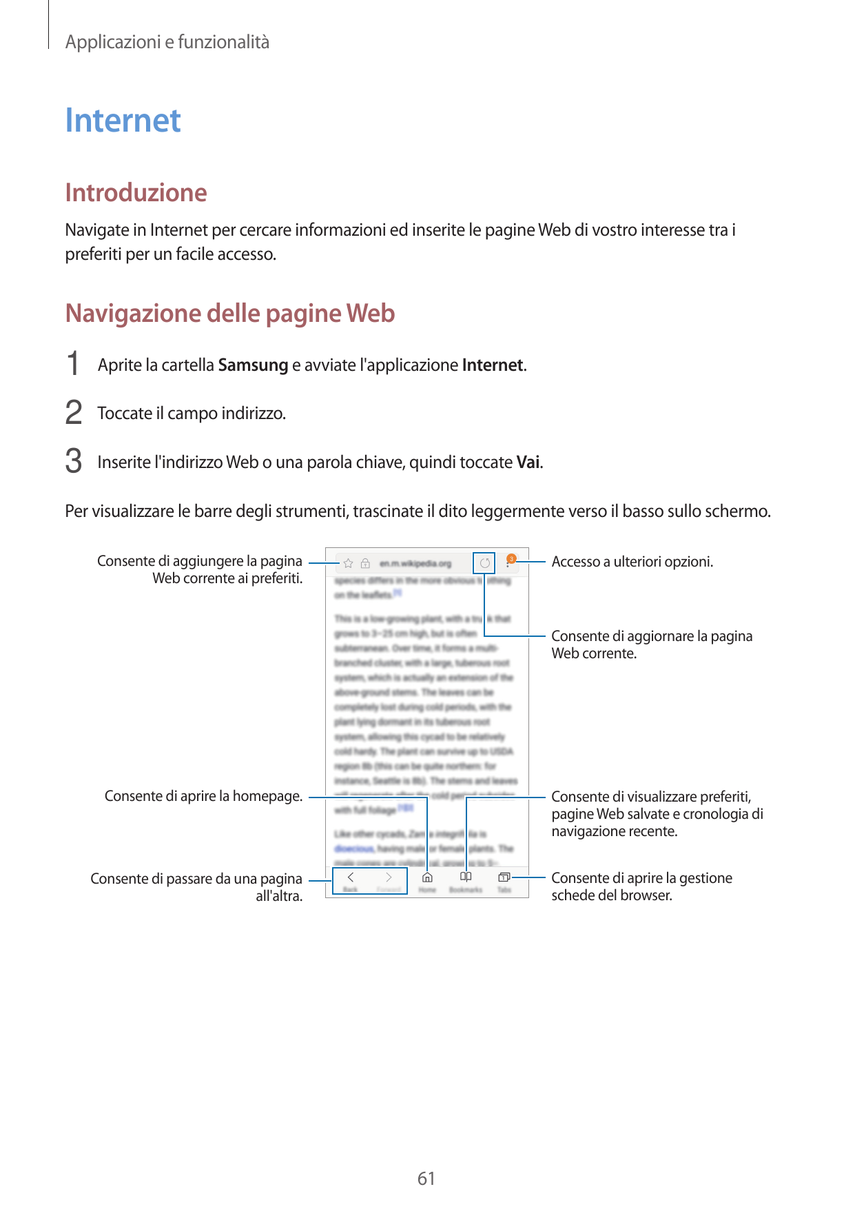 Applicazioni e funzionalitàInternetIntroduzioneNavigate in Internet per cercare informazioni ed inserite le pagine Web di vostro